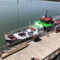 ms Waddenzee (@mswaddenzee) 's Twitter Profile