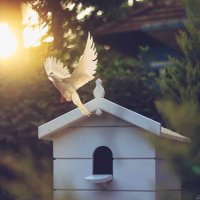 الامل (@mtm8byce5gqcjl0) 's Twitter Profile Photo