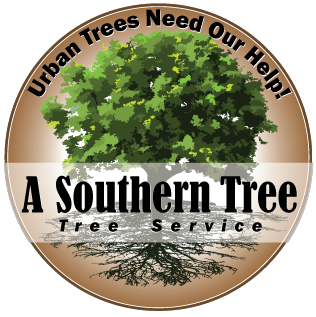 Urban Trees Need Our Help!
Quality tree care in metro Atlanta that includes ANSI300 standard pruning, treatment, removal and large tree planting.