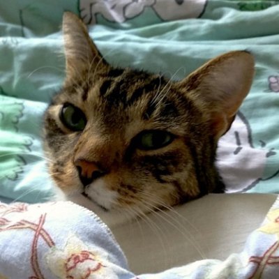 Otto J.K.さんのプロフィール画像