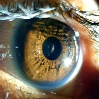 محمد عبدالعزيز (@mohdaziz_chal) 's Twitter Profile Photo