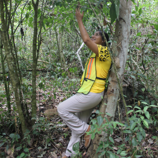 Karlyz_xapis's profile picture. 😃