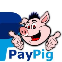 paypig870 (@paypig870) 's Twitter Profile
