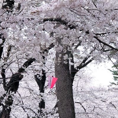 재타임❄แจไทม์จ้ะさんのプロフィール画像