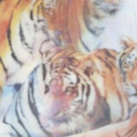 TEK_ERKEK_3535 (@tek_erkek_3535) Twitter profile photo