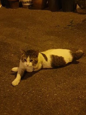 0HzTclNBchMWsnE's profile picture. 