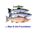 Wye & Usk Foundation (@wufoundation) Twitter profile photo Wye & Usk Foundation (@wufoundation) Twitter profile photo