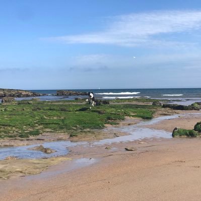 NorthSe79925225's profile picture. Articulate, adventurous, and just South of the Border. We look out & over the horizon for SEA SALT environmental ingenuity. Bon Voyage #northsea #NorthSea