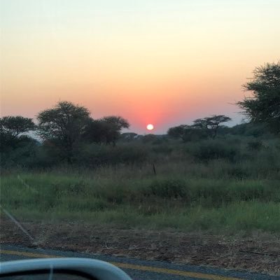 Phibes11's profile picture. Be calm