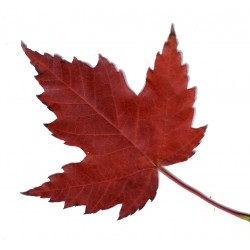 Do you love Canada? So do we! #YourCanada is a digital media channel all about Canada! Since 2001.