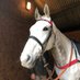 Ender Racing (@racingender) Twitter profile photo Ender Racing (@racingender) Twitter profile photo