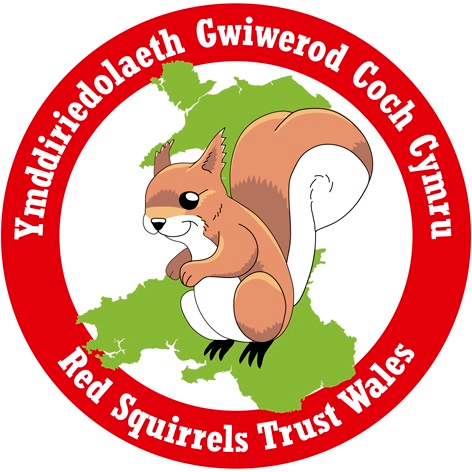 Red Squirrels Wales Profile