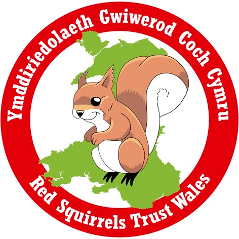 RedSquirrelsinW Profile Picture