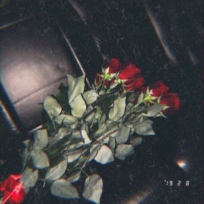 RReemaayy's profile picture. dead.