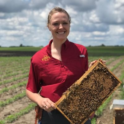 USDA Postdoctoral fellow at UIUC. Studies honey 🐝 & native 🐝 response to agriculture, specifically interactions of pesticides and nutrition on bee health