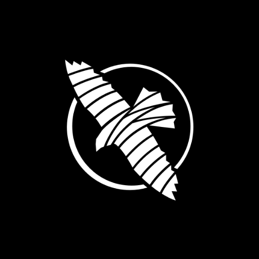 hayabusafight's profile picture. Redefining your combat experience. 🥊