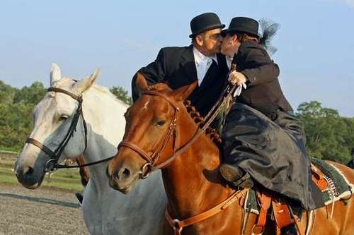 seatonhackney's profile picture. Seaton Hackney Stables and all of the horses are my second family.