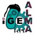 Alma iGEM (@almaigem) Twitter profile photo Alma iGEM (@almaigem) Twitter profile photo
