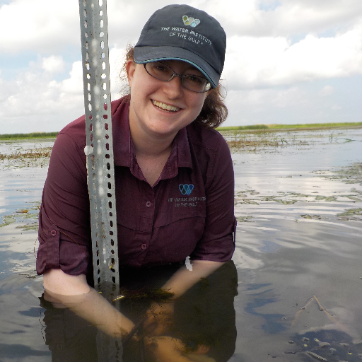 SwirlingSands's profile picture. Science nerd.  Geomorphologist,  geologist, coastal scientist. Opinions are my own.