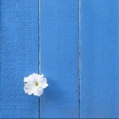اللهم إني أسألك العفو والعافية في ديني ودنياي، وأهلي ومالي.🇺🇸🇸🇩❤