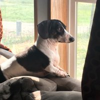 whiterabbit (@whiterabbit220) 's Twitter Profile