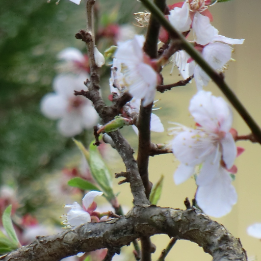 EzNc92's profile picture. 気長に、時々、更新
#開発系 
#Linux
 #VB
 #Qt 
#薬剤師
#python