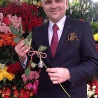 David (@david03681901) 's Twitter Profile