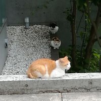 ハリキリジイサン (@gvjmaudcevrpylc) 's Twitter Profile Photo