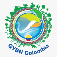 GYBN Colombia (@gybn_colombia) 's Twitter Profile