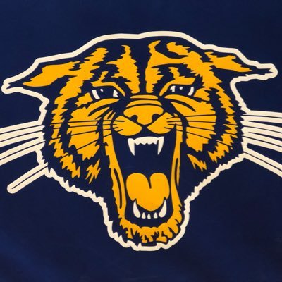 HoopsBobcat Profile Picture