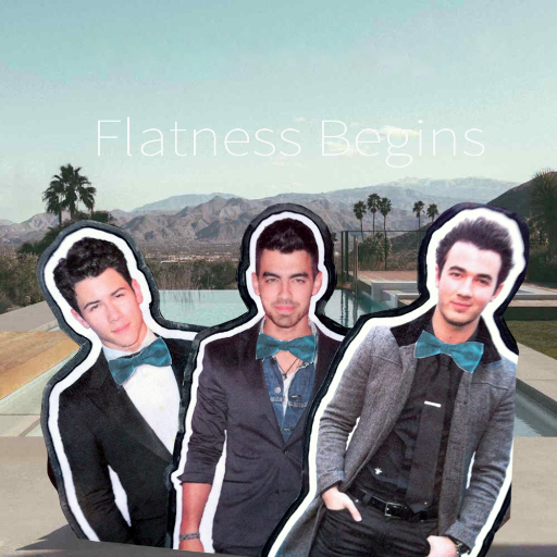 We are the Flat Jonas Brothers! Follow us around the nation as the JoFamily takes us on their vacations this summer.