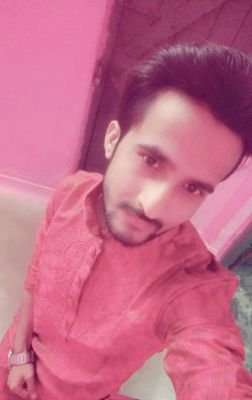 raj9129ver's profile picture. PHP Web Developer