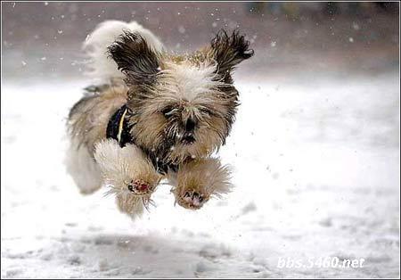 xuhaocheng's profile picture. 