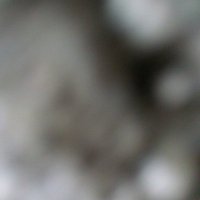 Türbanlı eşimden gizli erkeğim (@evlifrde) Twitter profile photo