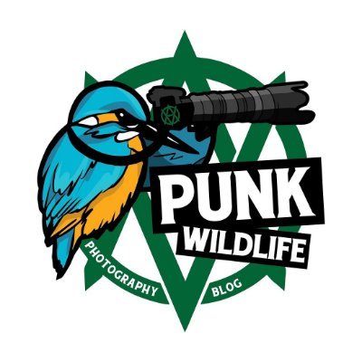 PunkWildlife's profile picture. The only way to shoot wildlife.