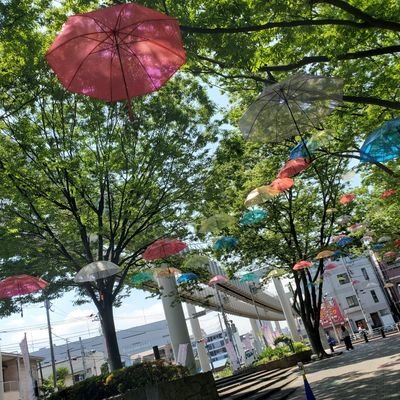 悠澄さんのプロフィール画像
