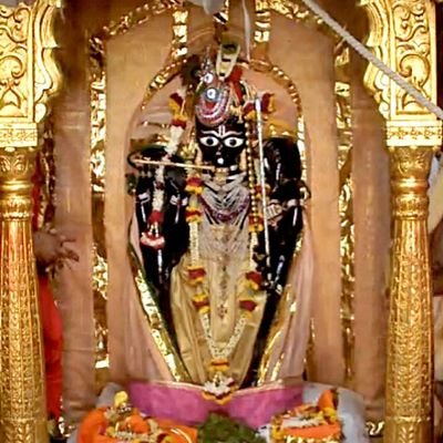 dhar29383901's profile picture. My name: Dharmesh