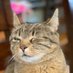 moppy :o) (@moopscoot) Twitter profile photo moppy :o) (@moopscoot) Twitter profile photo
