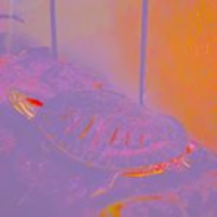 ESNSPartyList (@esnspartylist) 's Twitter Profile Photo ESNSPartyList (@esnspartylist) 's Twitter Profile Photo