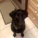 Bill Becker - @beckerlaw - Twitter