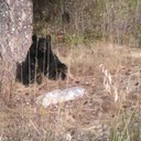 Devin Stubbs - @Devin_B_Stubbs - Twitter