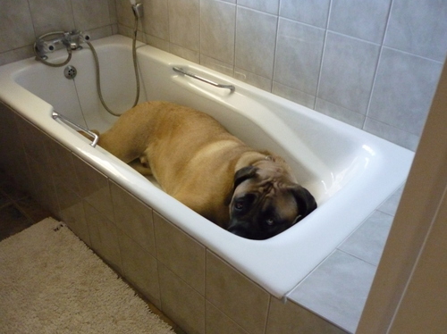 leosapa's profile picture. 