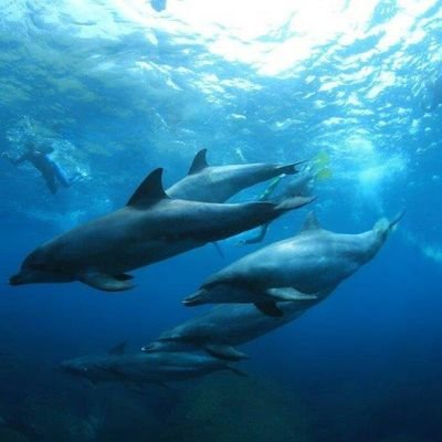 fcl31933's profile picture. ましゃと息子'sラブ。冬感15のyou  16の蛍のWアンコはお宝体験。加えて2021ガイシ&2022朱鷺メッセのＷアンコも大切な思い出。地底人ラジオ2017年 2021年 メールを読んで頂けて感謝。2025年3月18日 21日は生涯忘れない。