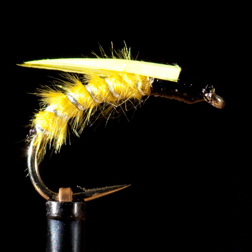 http://t.co/1KXpy3F3gH - High quality flys from Scotland.