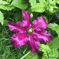 Mark Rathbone (@mr1community) 's Twitter Profile