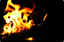 brwnijkhoev's profile picture. 