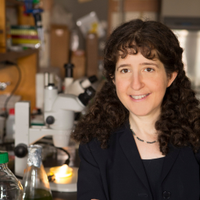 Laura Landweber (@landweberlab) 's Twitter Profile