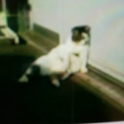 LL COOL Juntaroさんのプロフィール画像