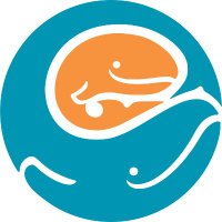 Seattle Children's (@seattlechildren) 's Twitter Profile