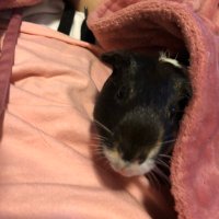 Nora (@nora_j1799) 's Twitter Profile